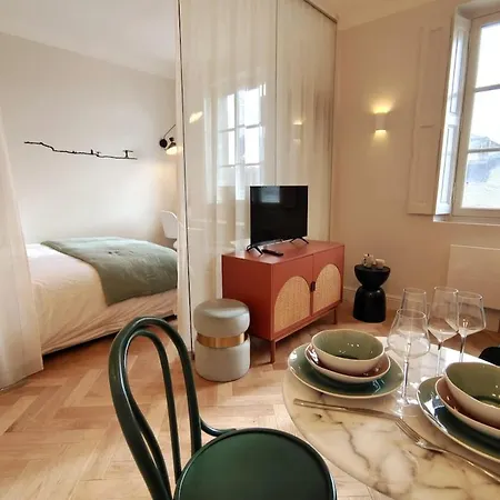 Magnifique Avec Vue Sur Les Toits Du Theatre Graslin Et La Place Nantes