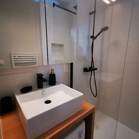 Appartement With Rooftop View Of The Graslin Theater *