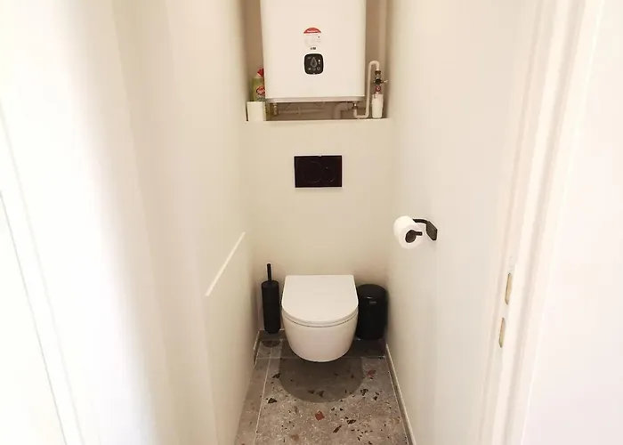 Magnifique Avec Vue Sur Les Toits Du Théatre Graslin Et La Place * Nantes